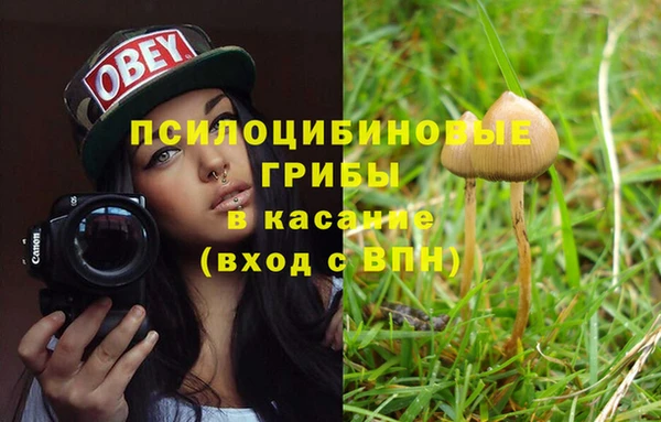 эйфоретик Бородино