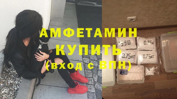амф Верхний Тагил