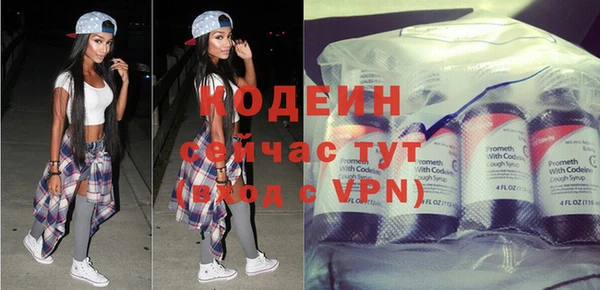 эйфоретик Бородино