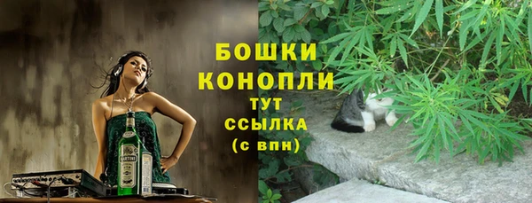 эйфоретик Бородино