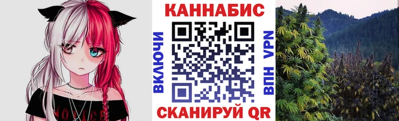 Купить закладки  Талдом  Канабис SATIVA & INDICA 